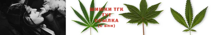 прущий лед Богородск