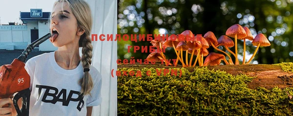 не бодяженный Богородицк