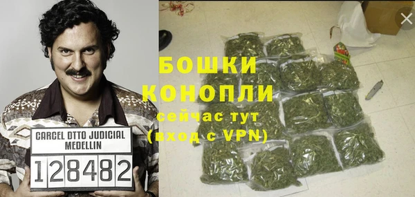 PSILOCYBIN Богданович