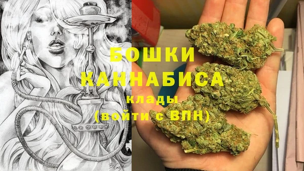 PSILOCYBIN Богданович