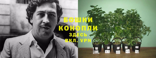 не бодяженный Богородицк