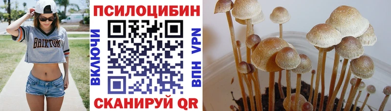 Псилоцибиновые грибы ЛСД Белокуриха